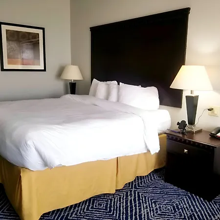Comfort Inn & Suites Dallas Medical-Market Center-2